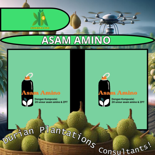 ASAM AMINO SUPER 1LITER